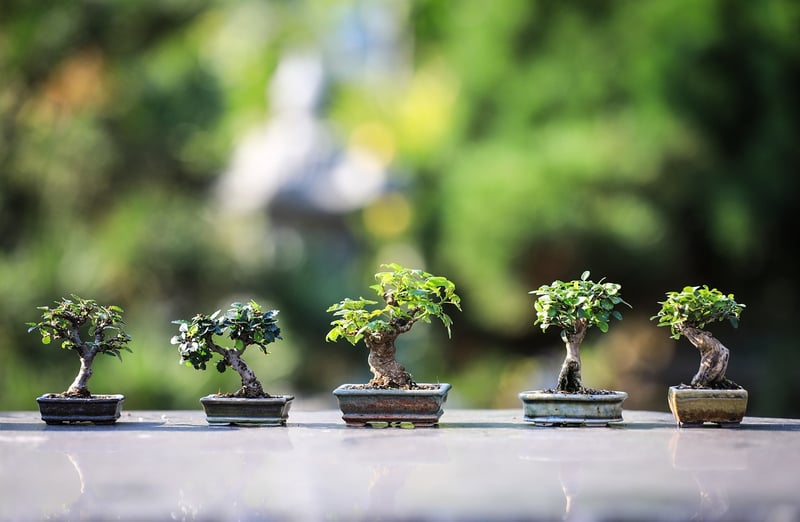Zen Waterfalls